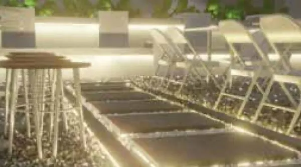 3D render of a café terrace with string lights