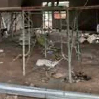 Scaffolding inside a building structure